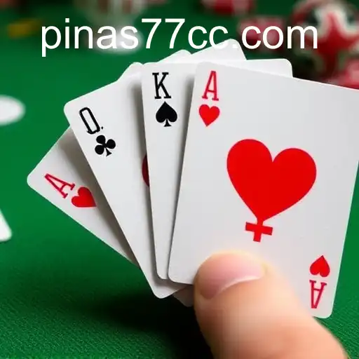 Exploring the World of Card Games with Pinas77